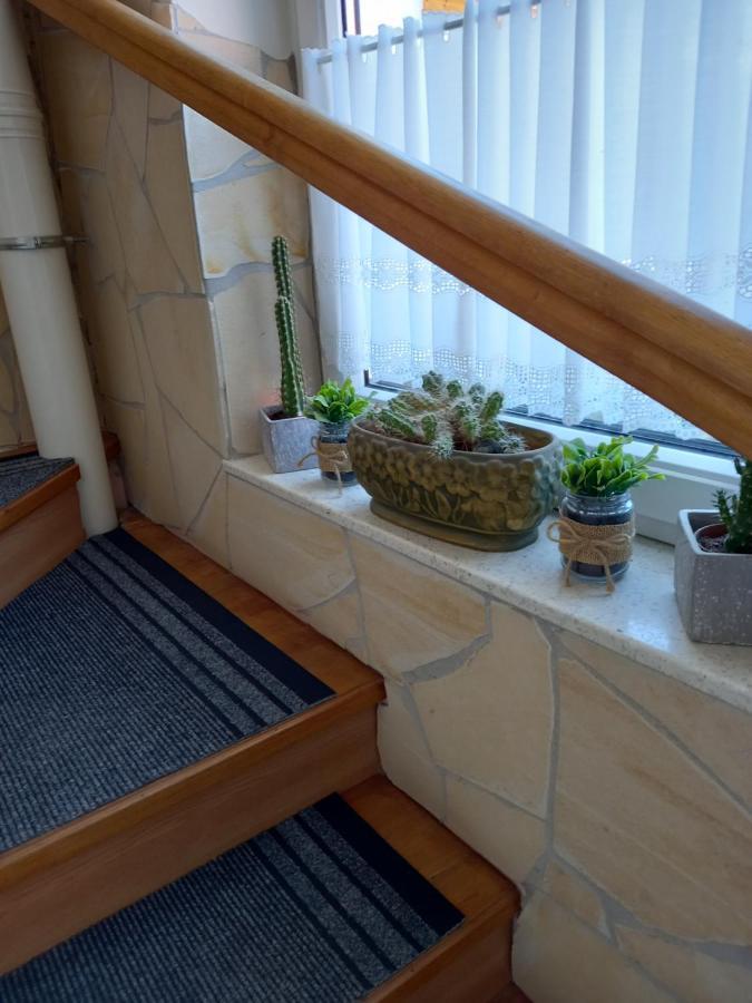 Pápa Viola Vendeghaz Bed & Breakfast エクステリア 写真